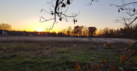 Improve Your Homestead Through Notebooks Image